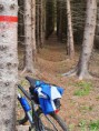 /album/bildgalleri-fjallnora-uppsala-svar-att-hitta-svar-att-cykla/a20200524-113536-jpg/